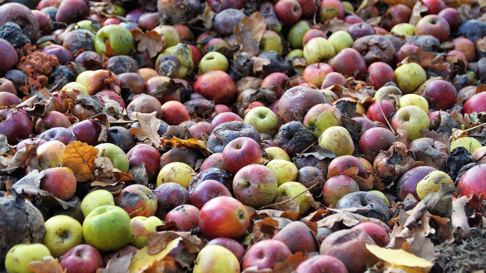 Post title